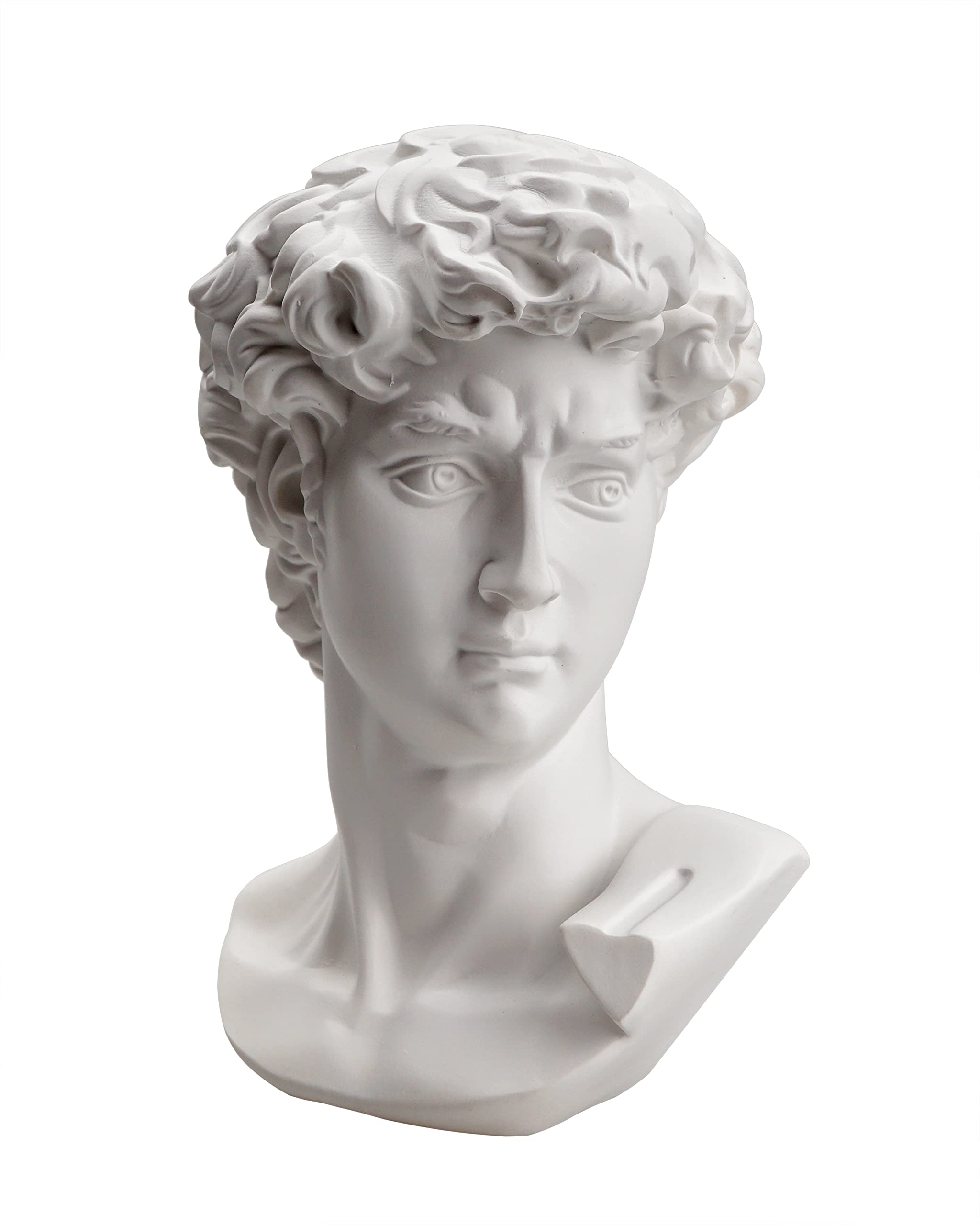 Waldosia inch michelangelos david bust statue white home kitchen