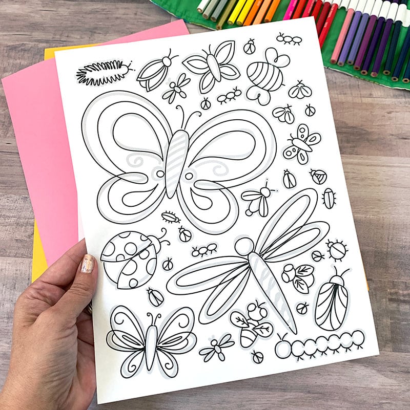 Printable bugs coloring steam activity sheet