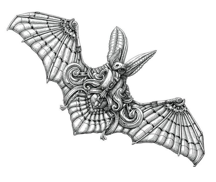 Black and white and color drawing colorful drawings bat art drawings