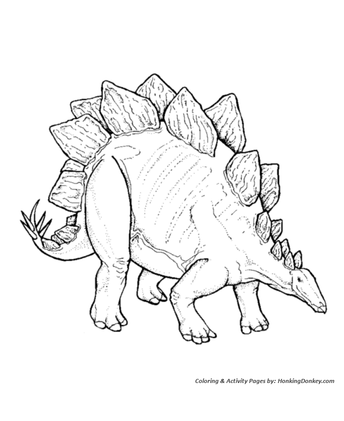 Stegosaurus coloring pages dinosaur coloring page sheet