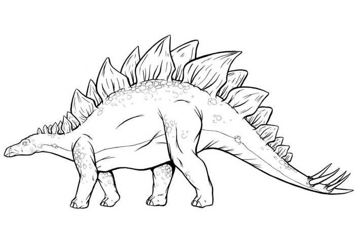 Stegosaurus dinosaur coloring page dinosaur coloring pages dinosaur drawing dinosaur coloring sheets