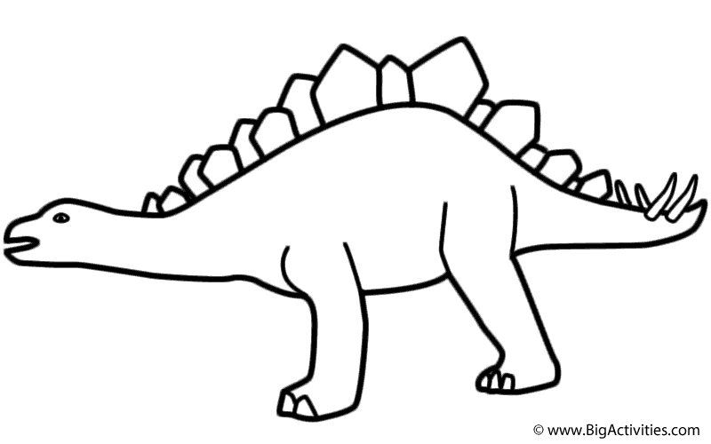 Stegosaurus