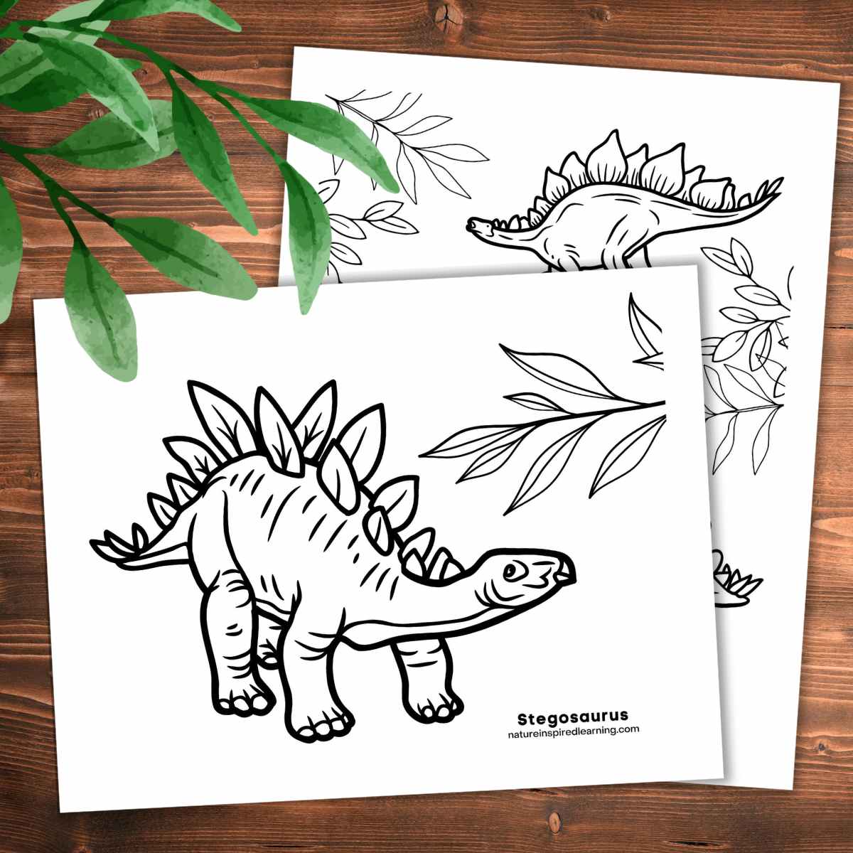 Stegosaurus coloring pages