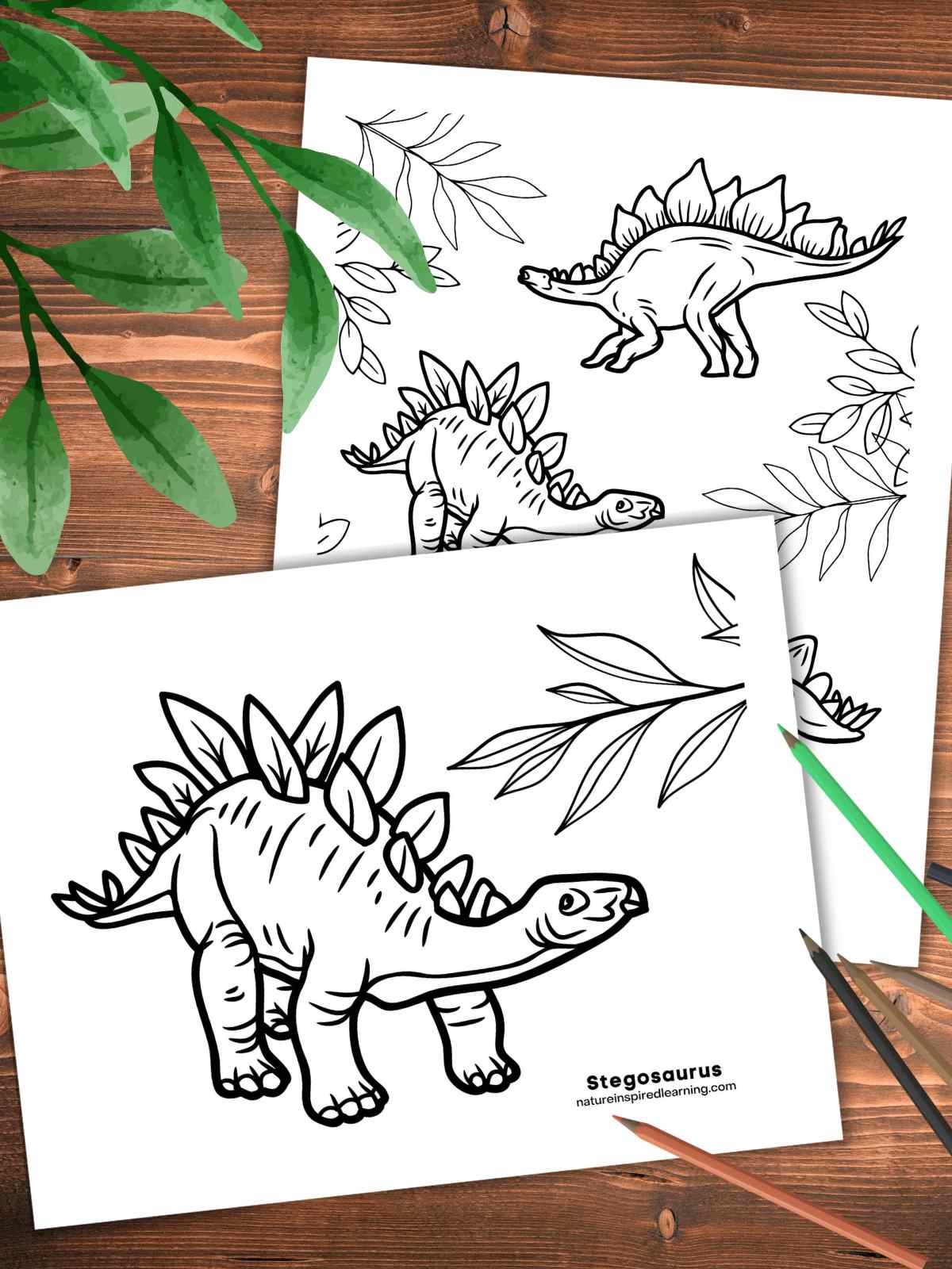 Stegosaurus coloring pages