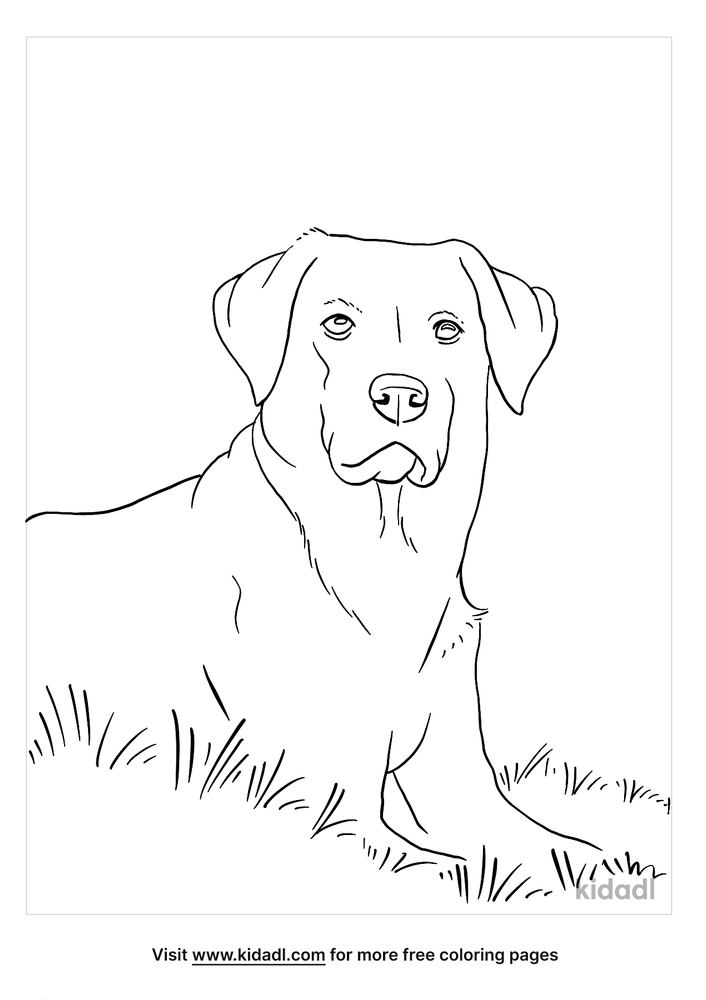 Black lab coloring pages free animals coloring pages kidadl puppy coloring pages dog stencil animal coloring pages