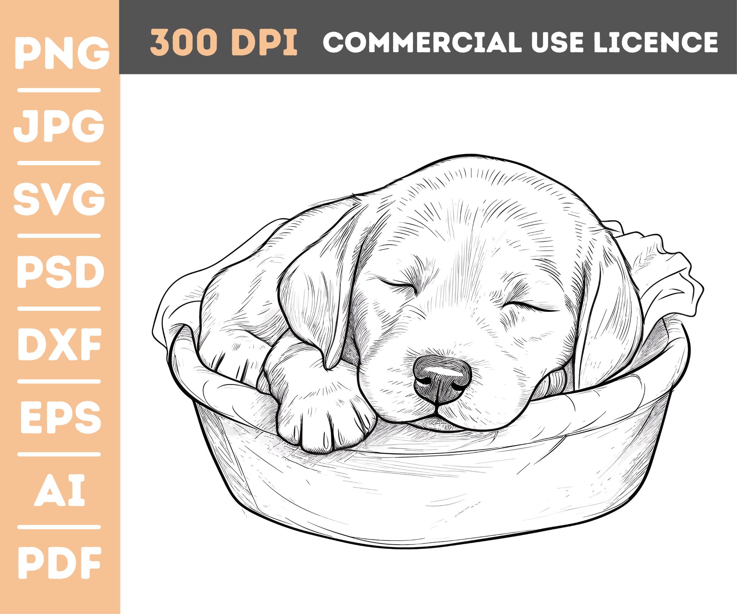 Labrador retriever coloring page clipart png jpg svg pds dxf eps ai pdf instant download mercial use vector graphic cl download now