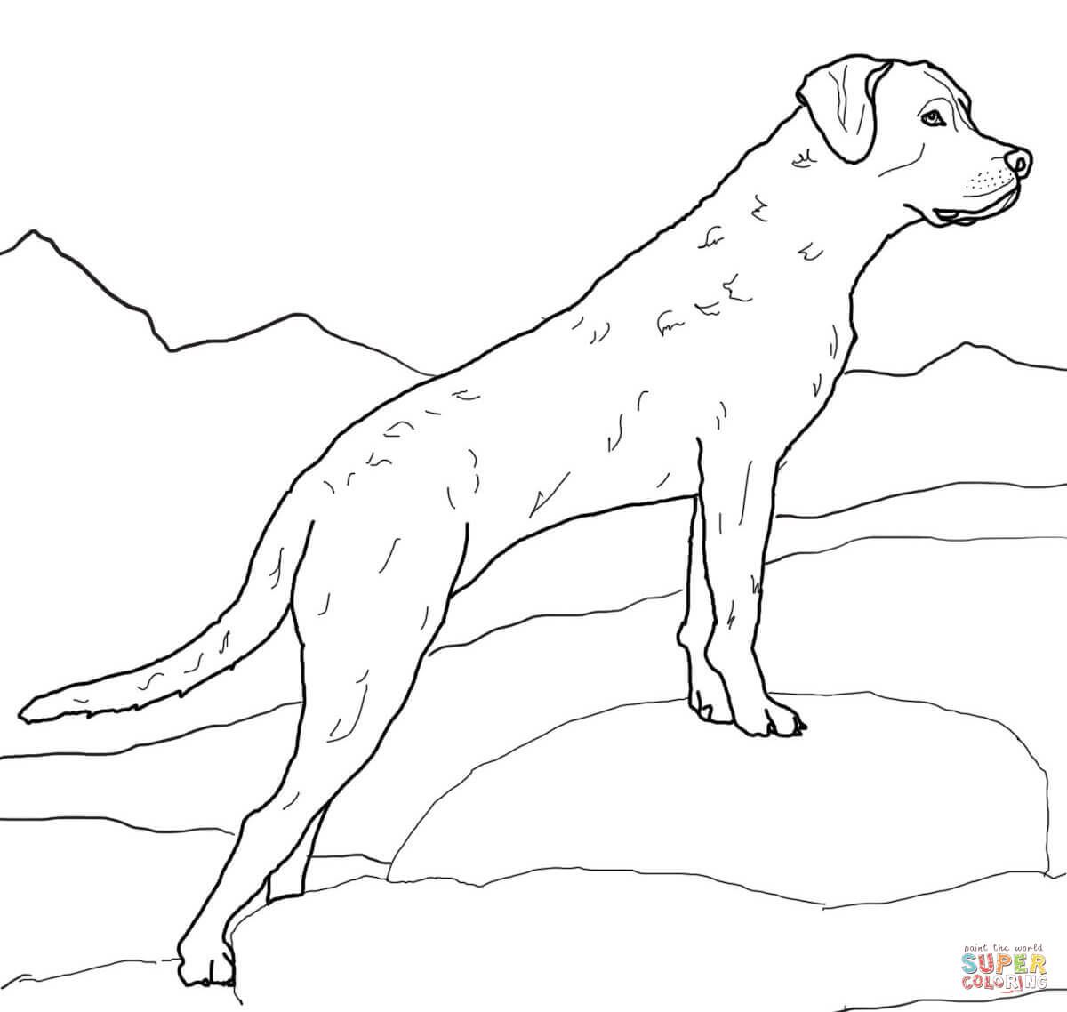 Labrador retriever coloring page free printable coloring pages dog coloring page golden retriever colors puppy coloring pages