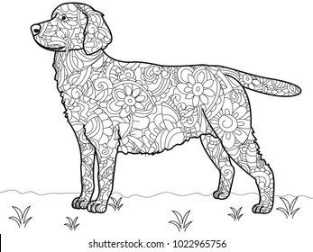 Dog labrador antistress coloring book raster stock illustration