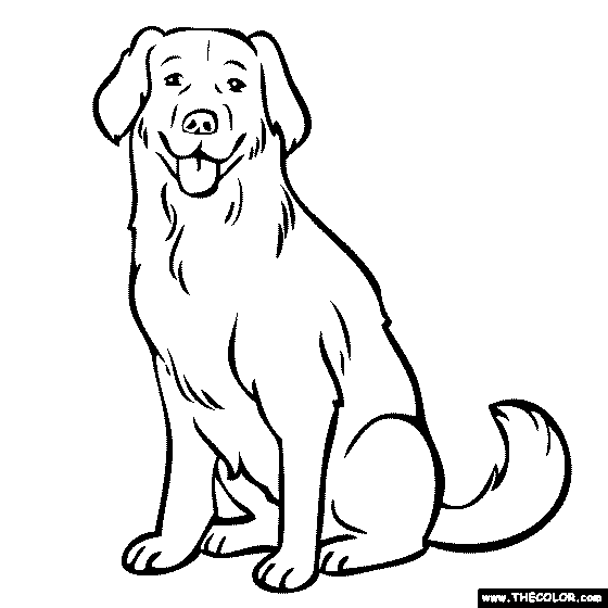 Labrador coloring page yellow lab chocolate lab dog line art dog coloring page puppy coloring pages