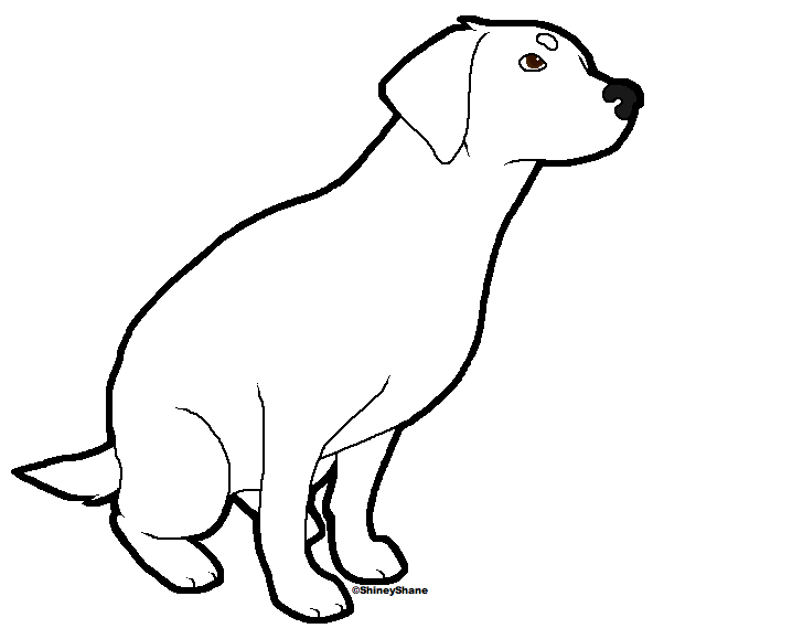 Sitting labrador template by drunkdrawings on