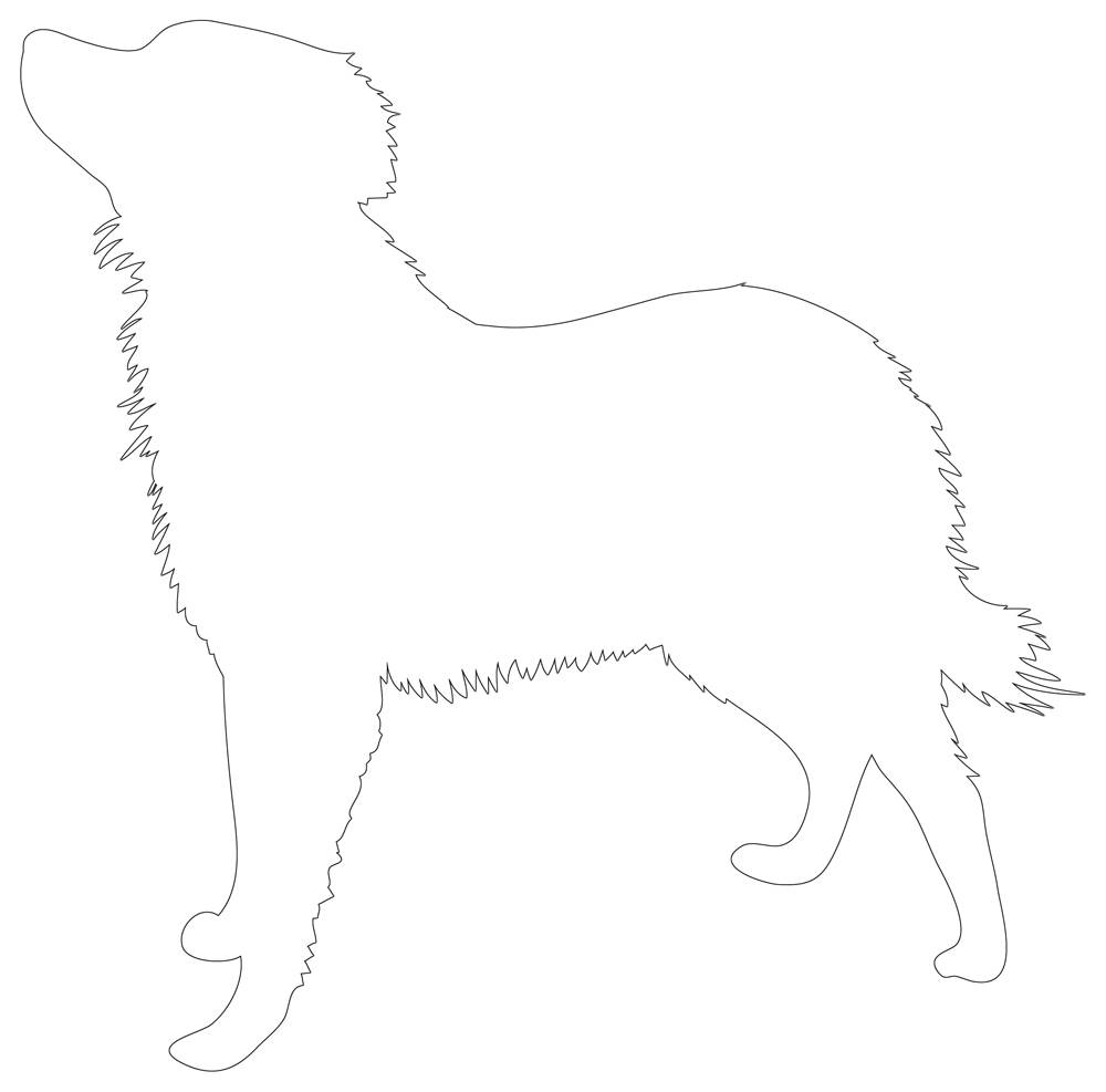 Labrador retriever outline