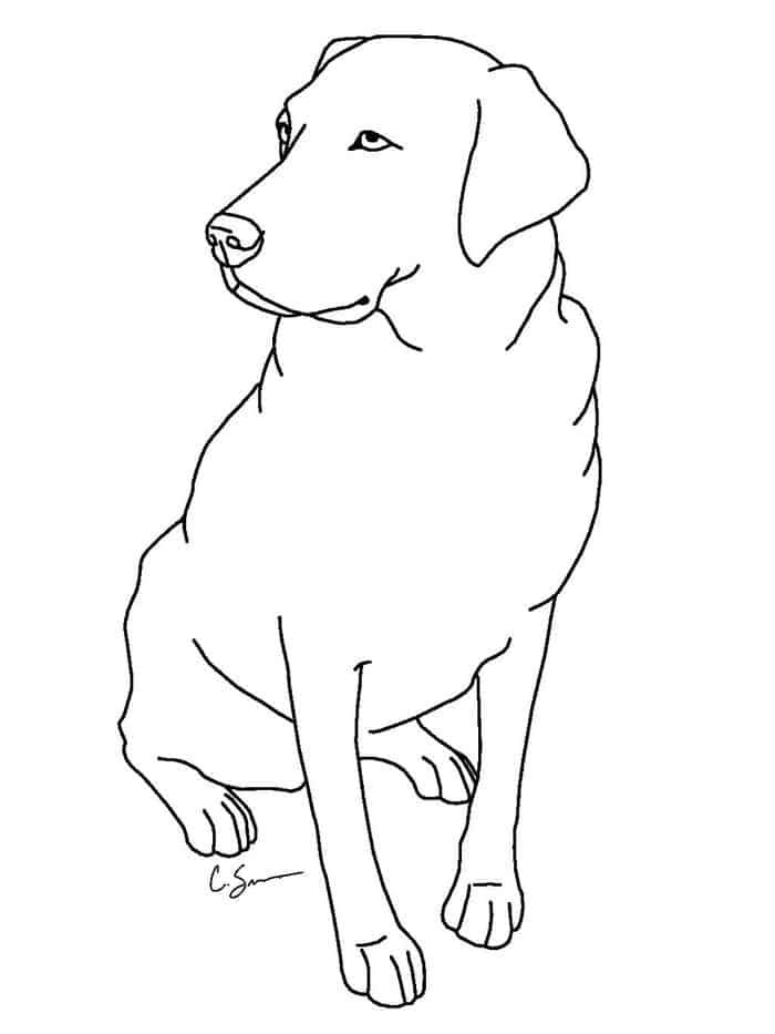 Labrador dog coloring pages dog coloring page puppy coloring pages animal coloring pages