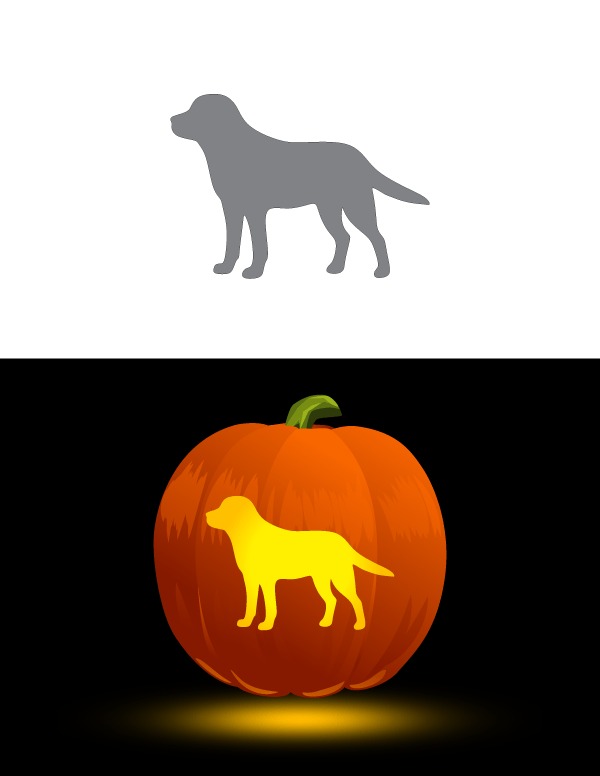 Printable labrador pumpkin stencil