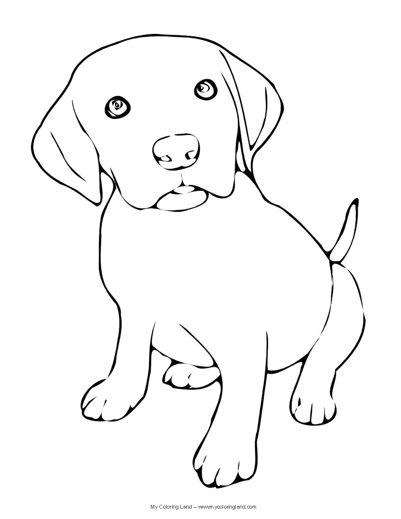 Free printable coloring pages puppy coloring pages dog coloring page dog line art