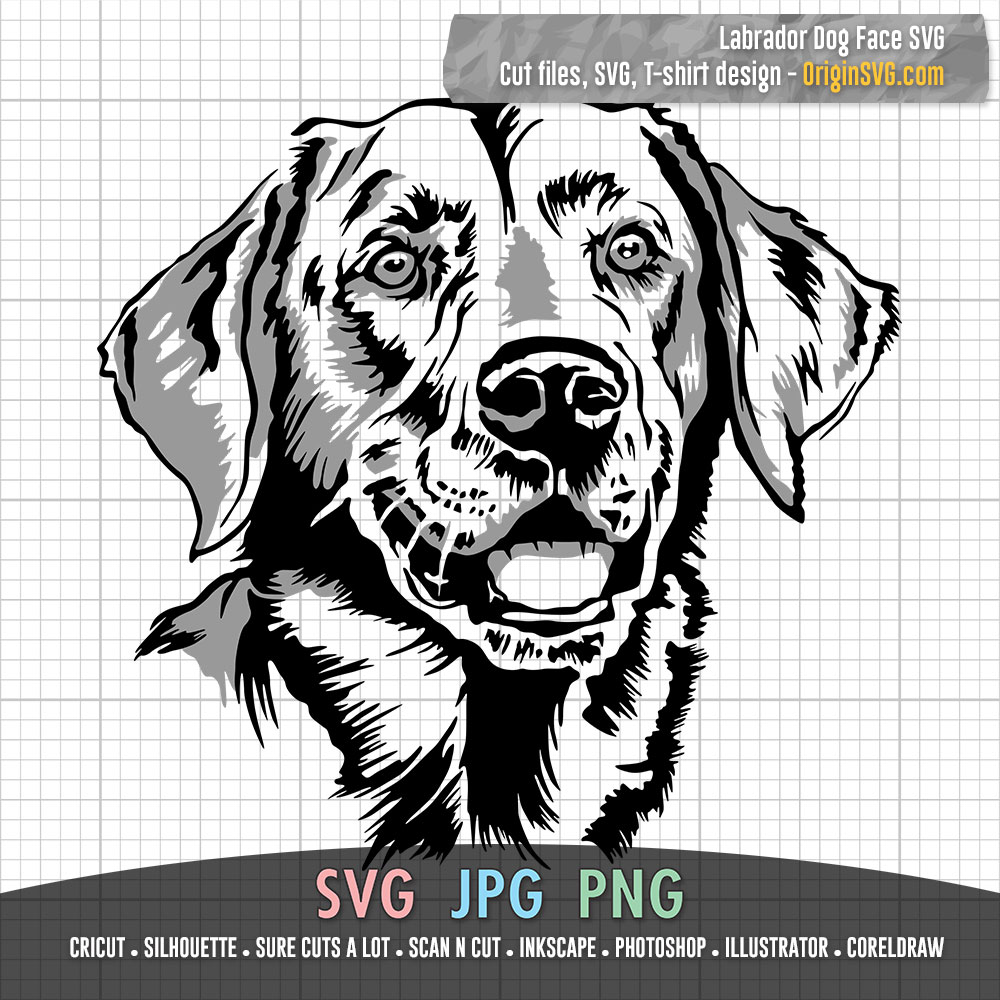 Labrador dog face svg in in black and colors