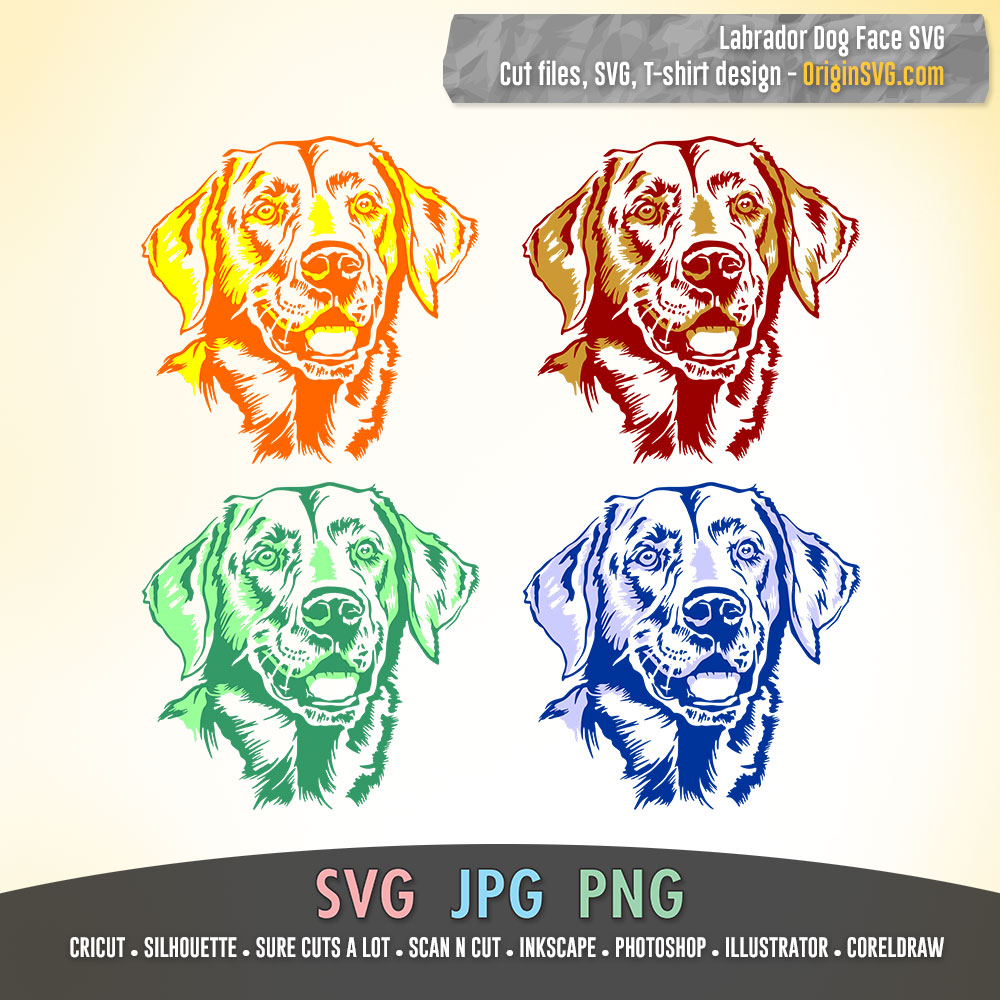 Labrador dog face svg in in black and colors