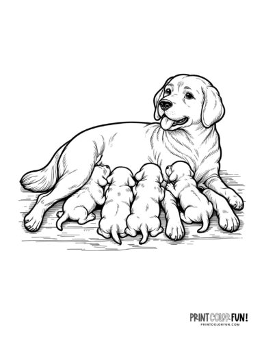 Cute puppy coloring pages free color clipart at