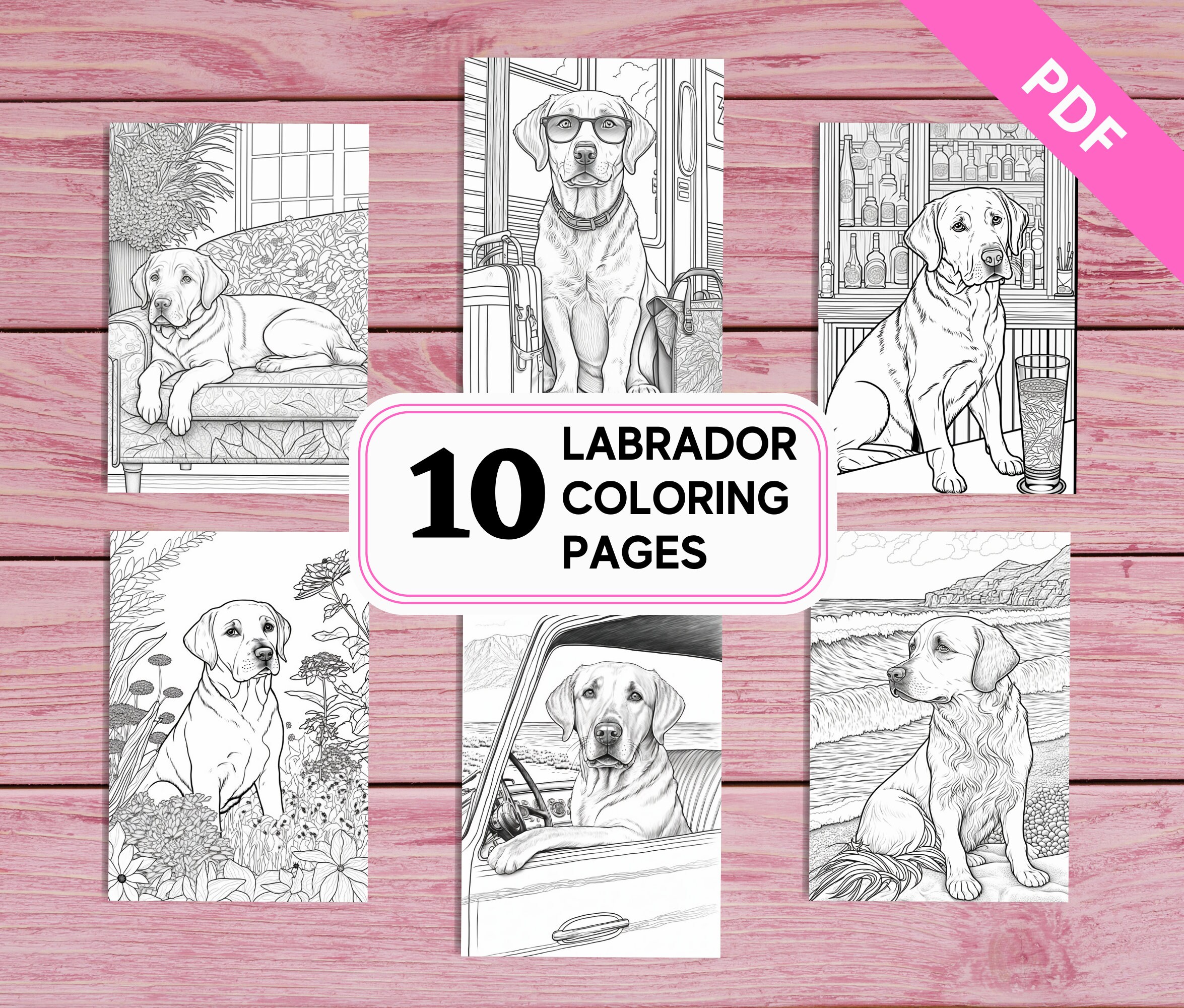 Puppy colouring