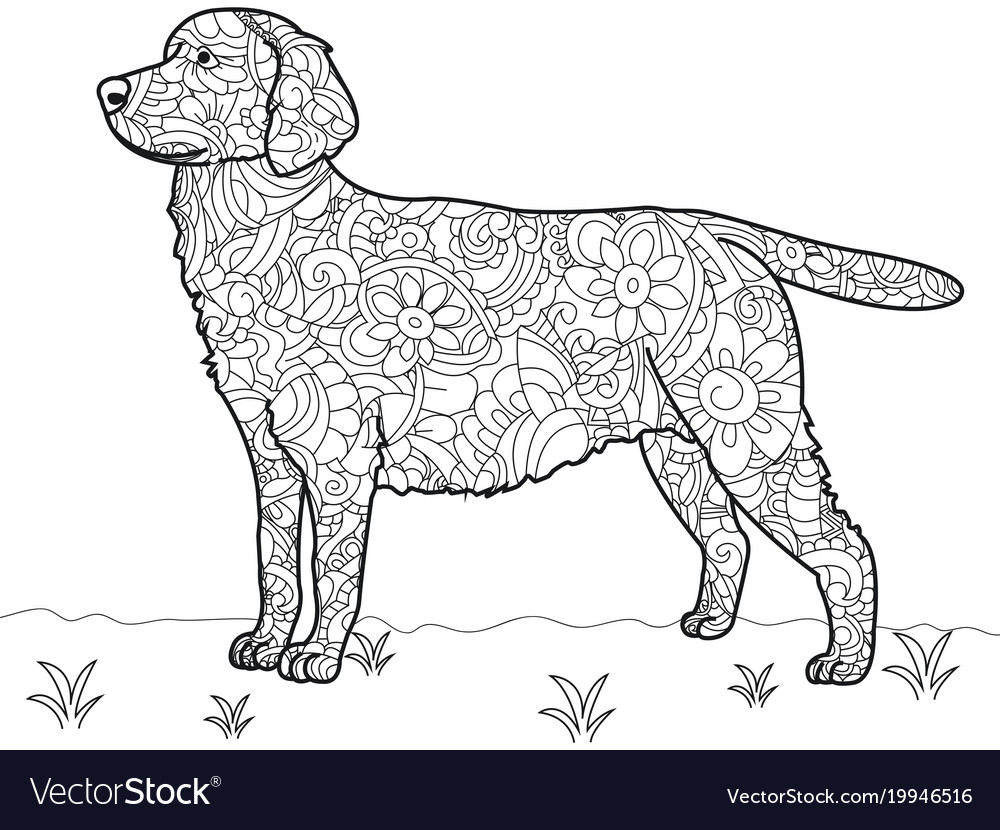 Dog labrador antistress coloring book royalty free vector
