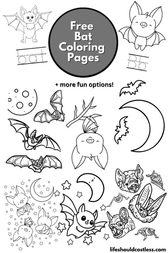 Bat coloring pages free printable pdf templates