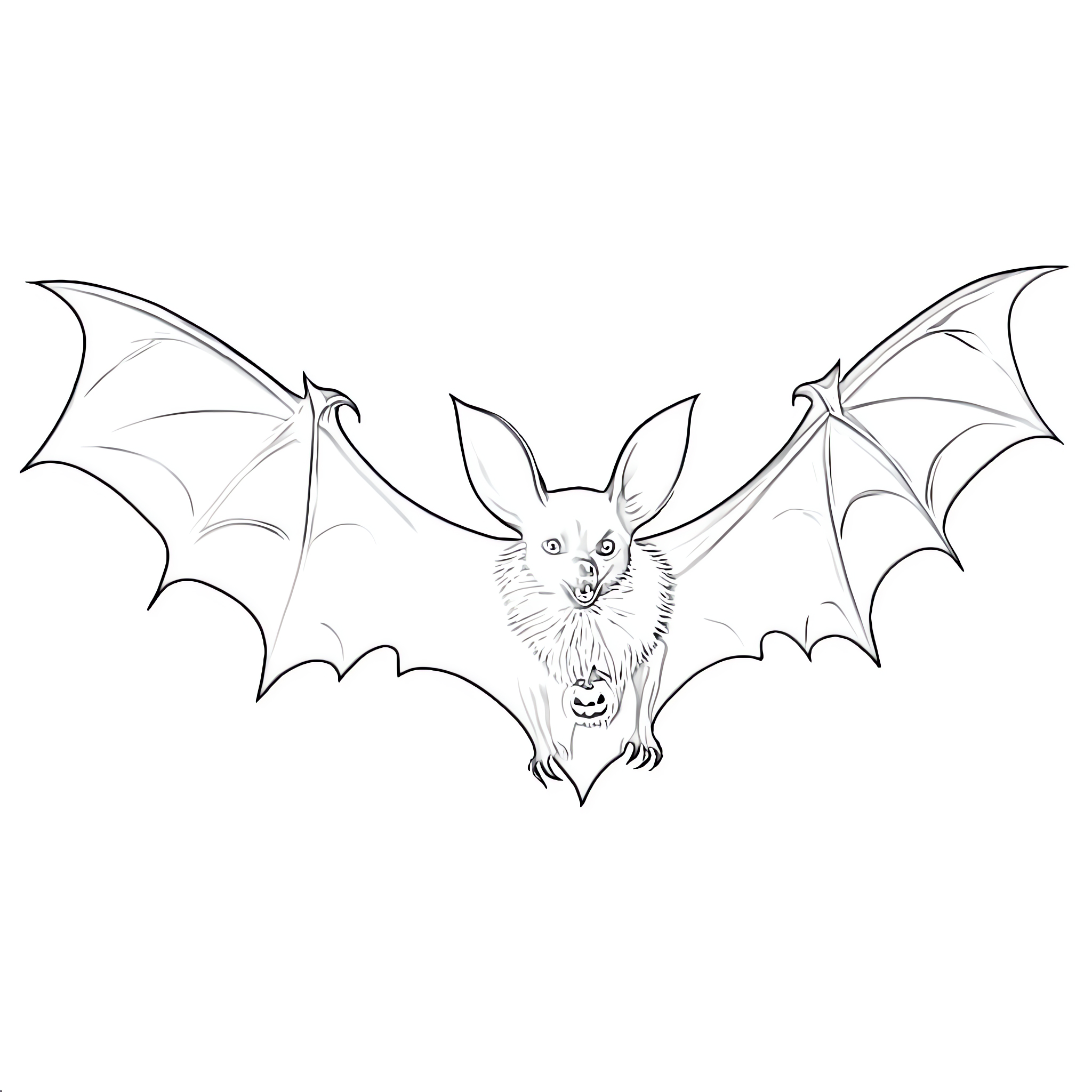 Bat coloring page