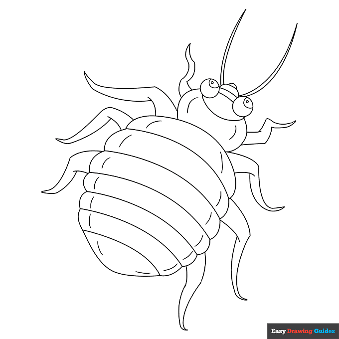 Bed bug coloring page easy drawing guides
