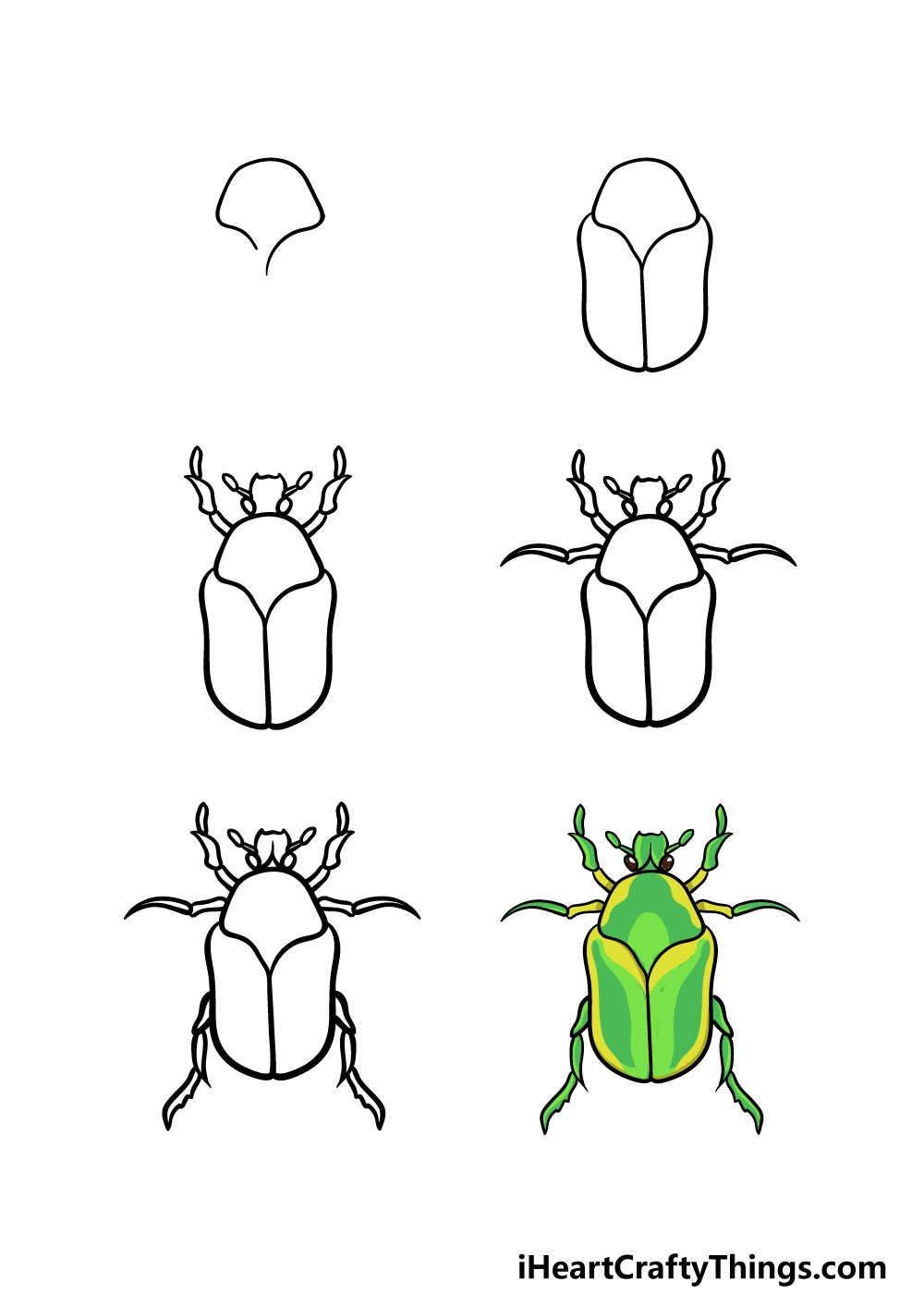 Bug drawing