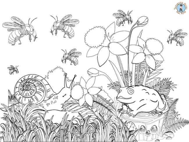 Bugs coloring page