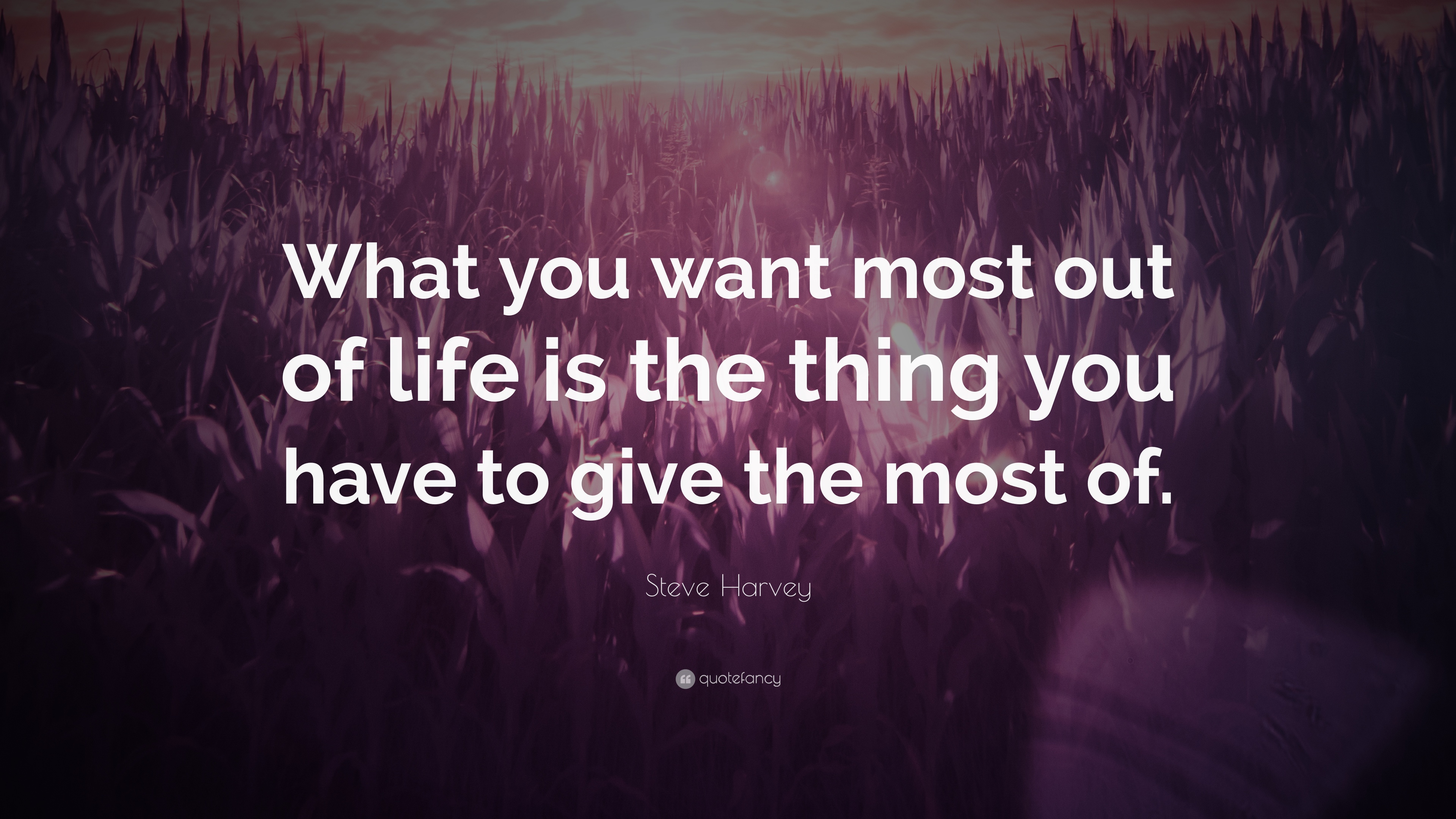 Steve harvey quote âwhat you want most out of life is the thing you have to