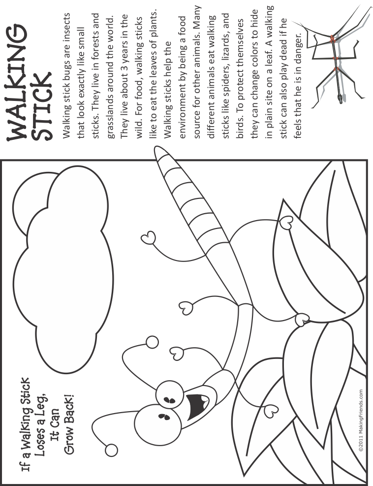 Bug coloring page walking stick