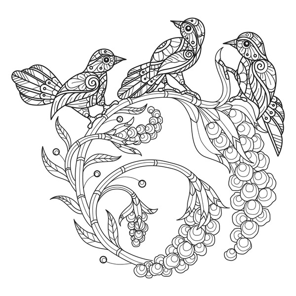 Adult coloring birds flowers over royalty