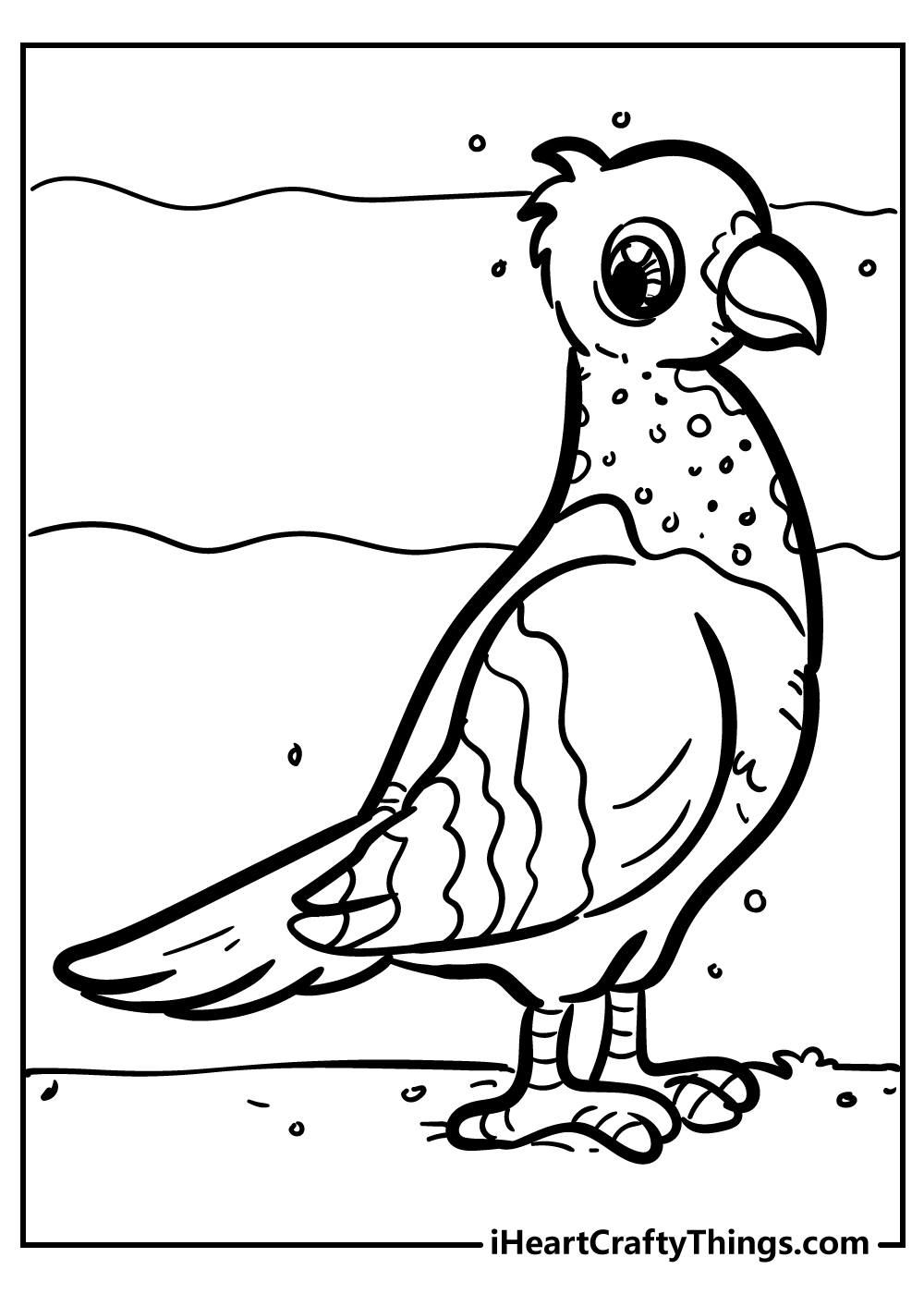 Bird coloring pages free printables