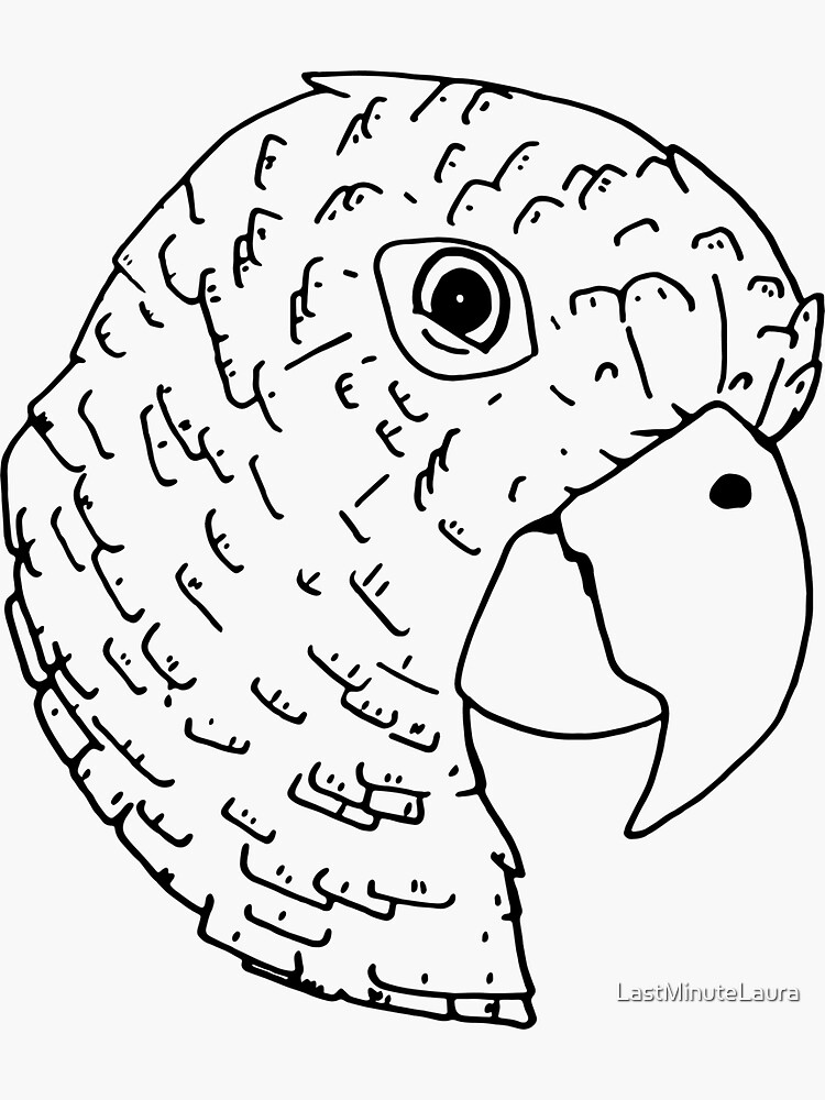 Parrot portrait bird drawing line art adult coloring page digital art print sticker for sale by lastminutelaura