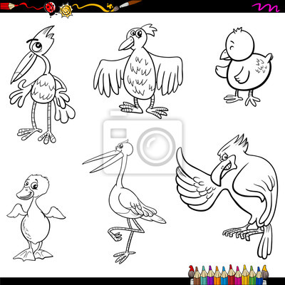 Birds cartoon coloring page â wall stickers ostrich colouring fairy tale