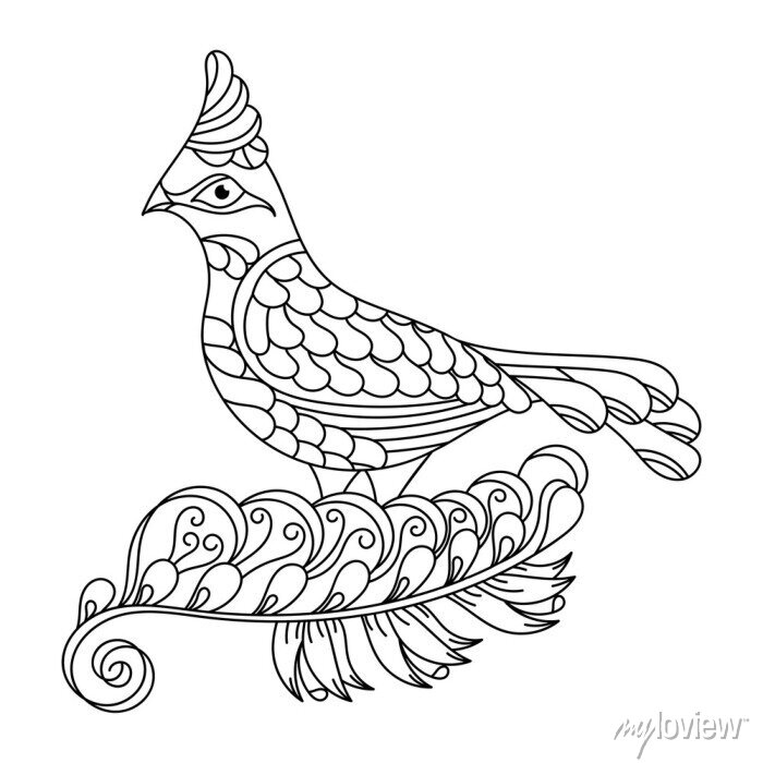 Coloring pages for adults a beautiful tropical bird on an ornate â wall stickers summer ornate feather