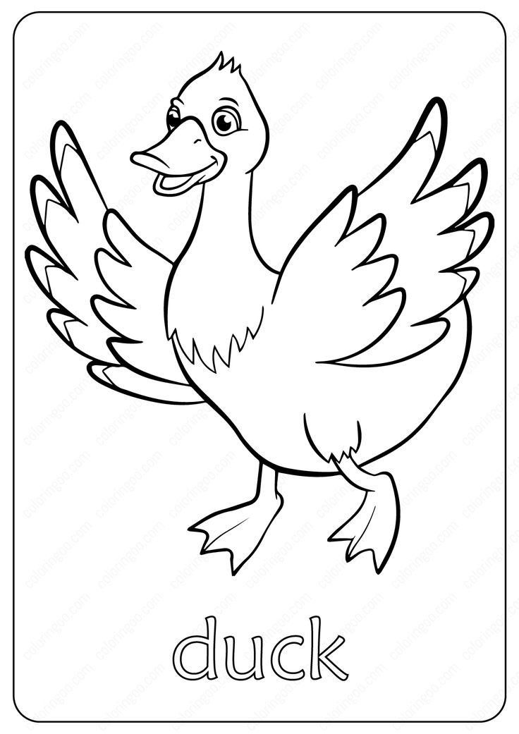 Free printable duck coloring pages bird coloring pages coloring pages coloring books