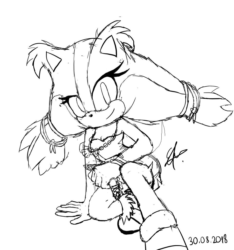 Sticks the badger sonic artist central amino