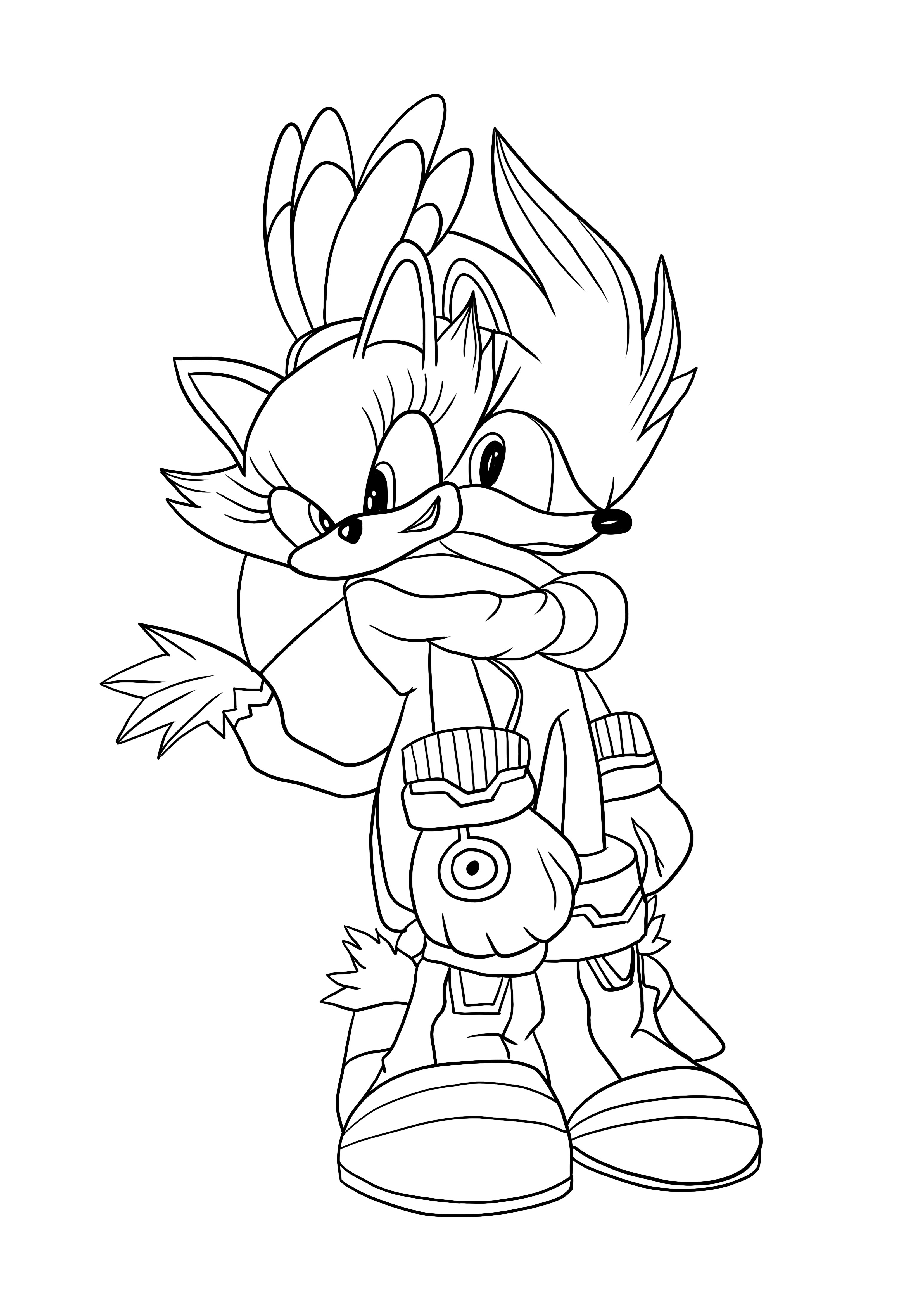 Sonic and blaze free printing and coloring