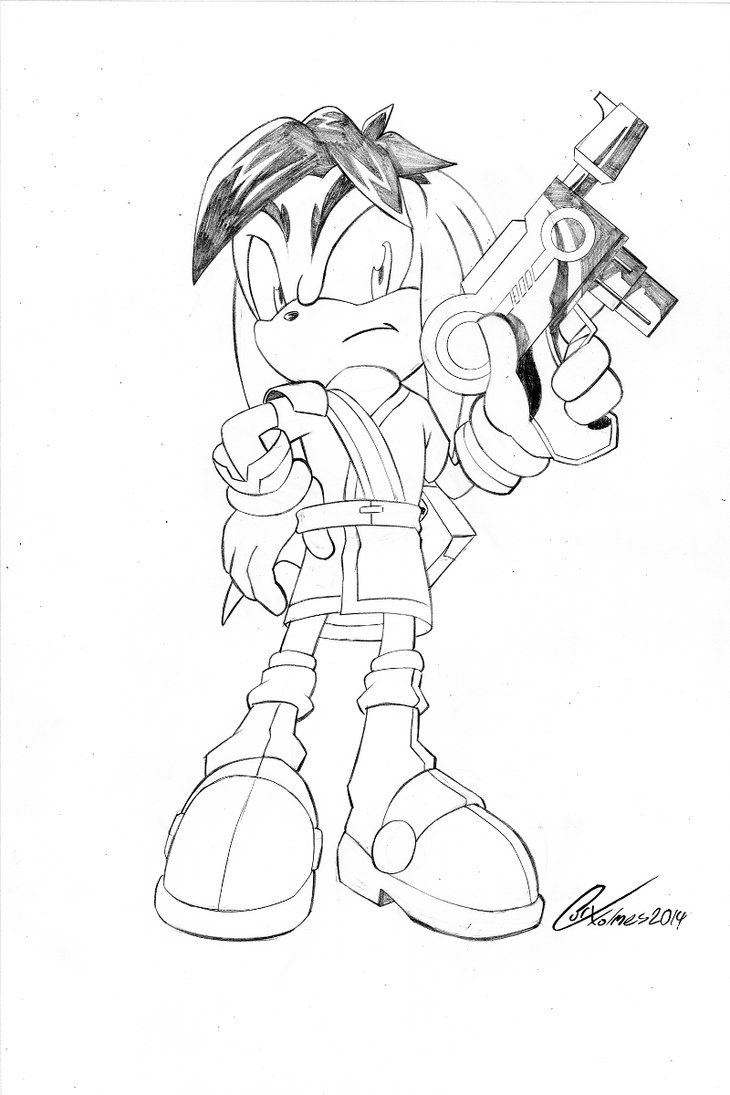 Sonic the hedgehog