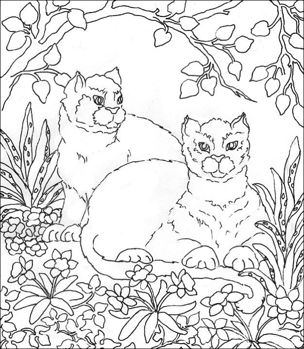 Free coloring pages