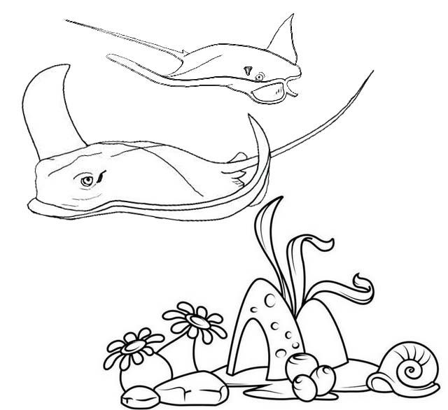 Stingray ing near to coral reefs coloring page coloring pages animal coloring pages coral reef color