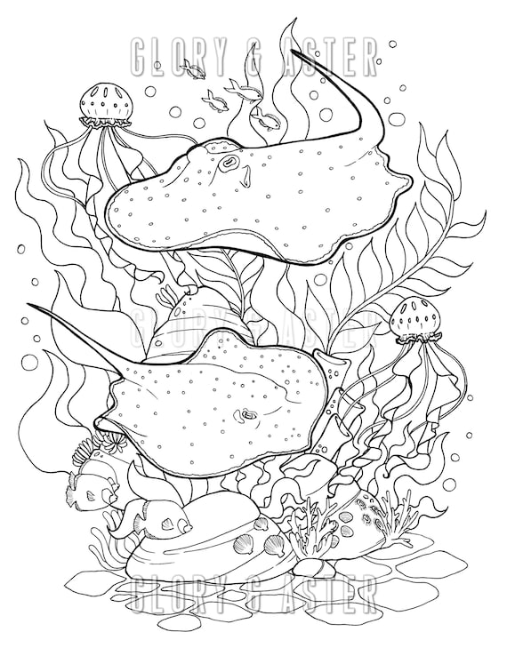 Stingray ocean coloring page printable adult coloring page ocean coloring page fish coloring page adult coloring page instant download
