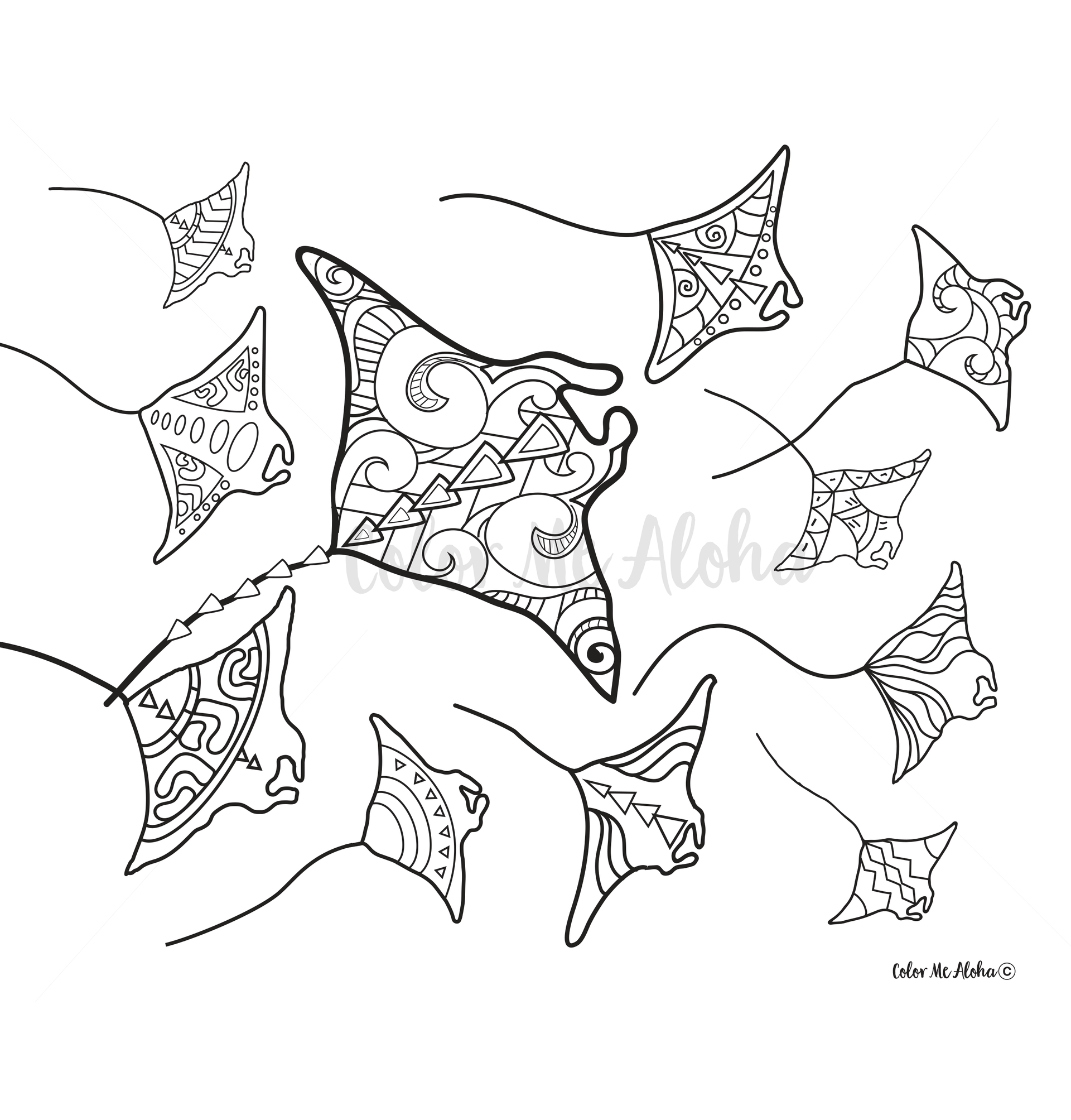 Coloring page of manta ray off the kona coast â color me aloha