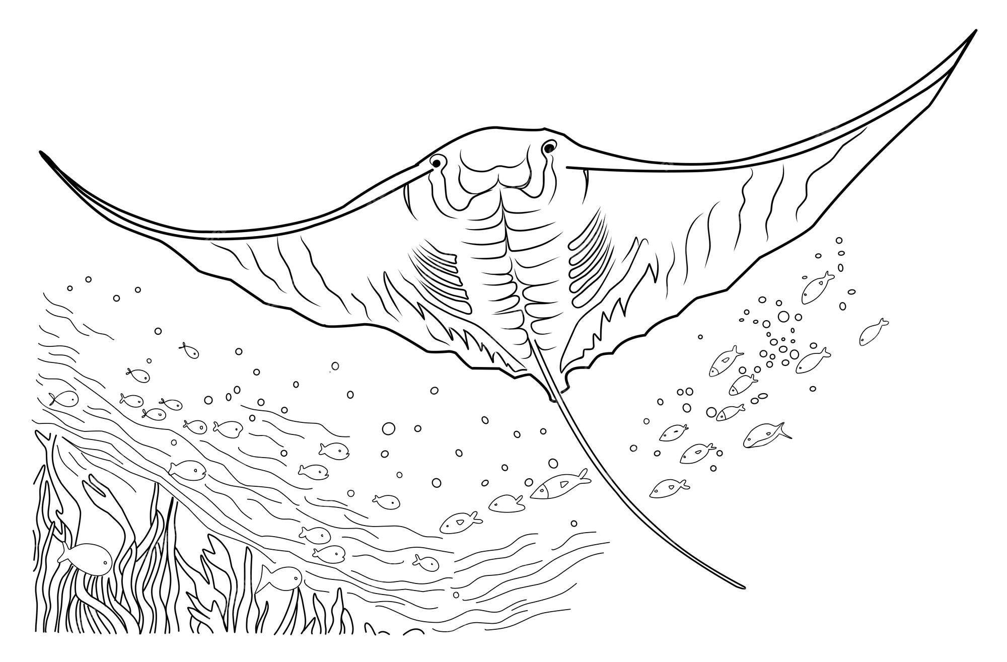 Premium vector deep sea manta ray coloring page cartoon stingray linear illustration for coloring