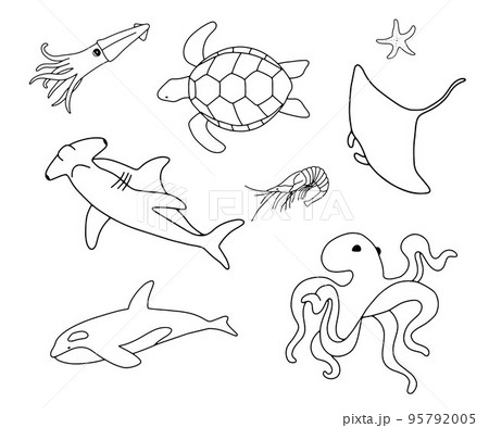 Vector swimming turtle squid stingray and