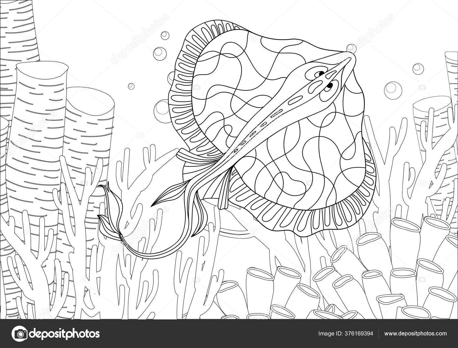 Staining coloring book coloring book picture mantle stingray zentangle style stock vector by bosonya