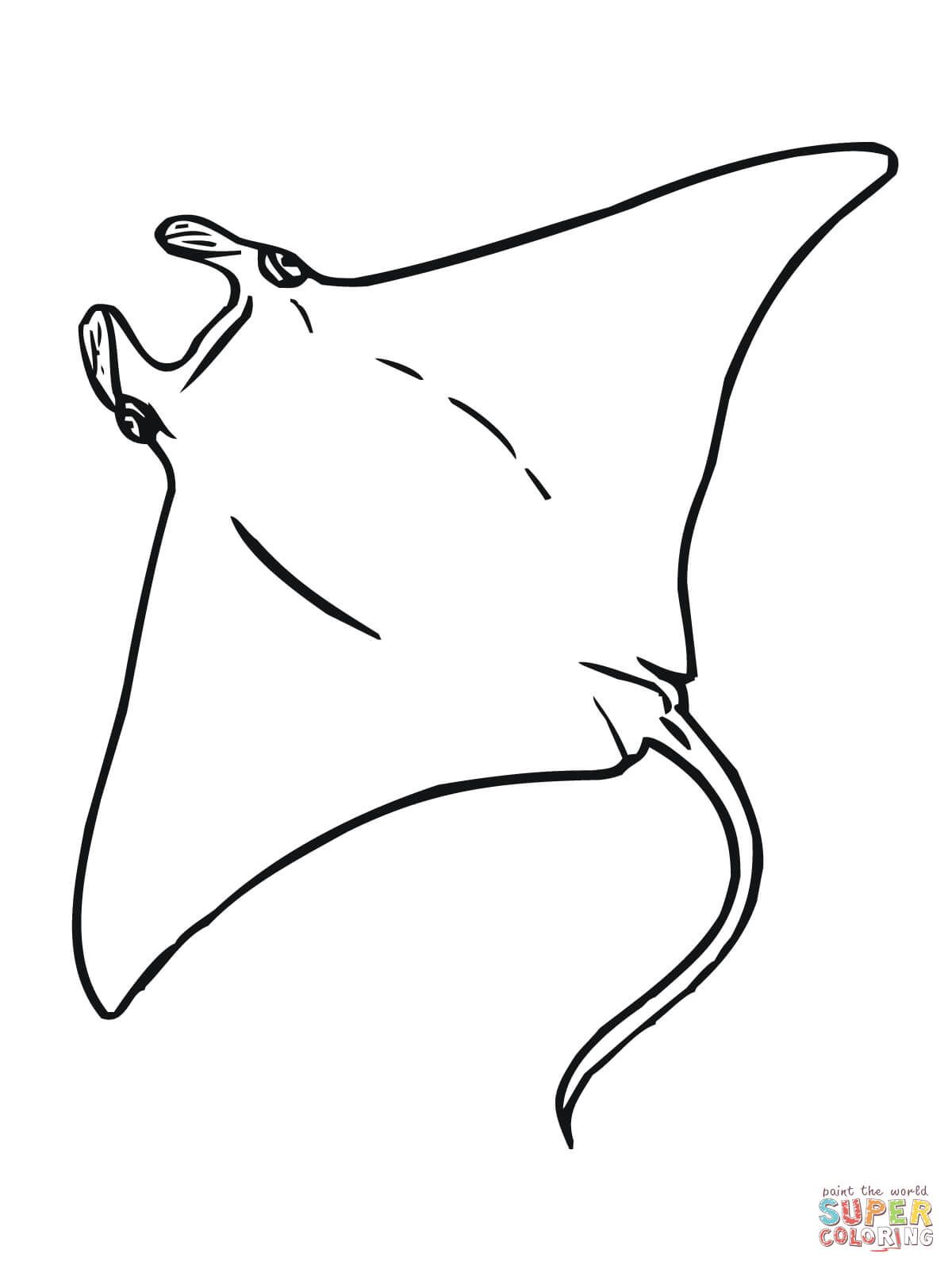 Manta coloring page free printable coloring pages coloriage mer raie manta manta