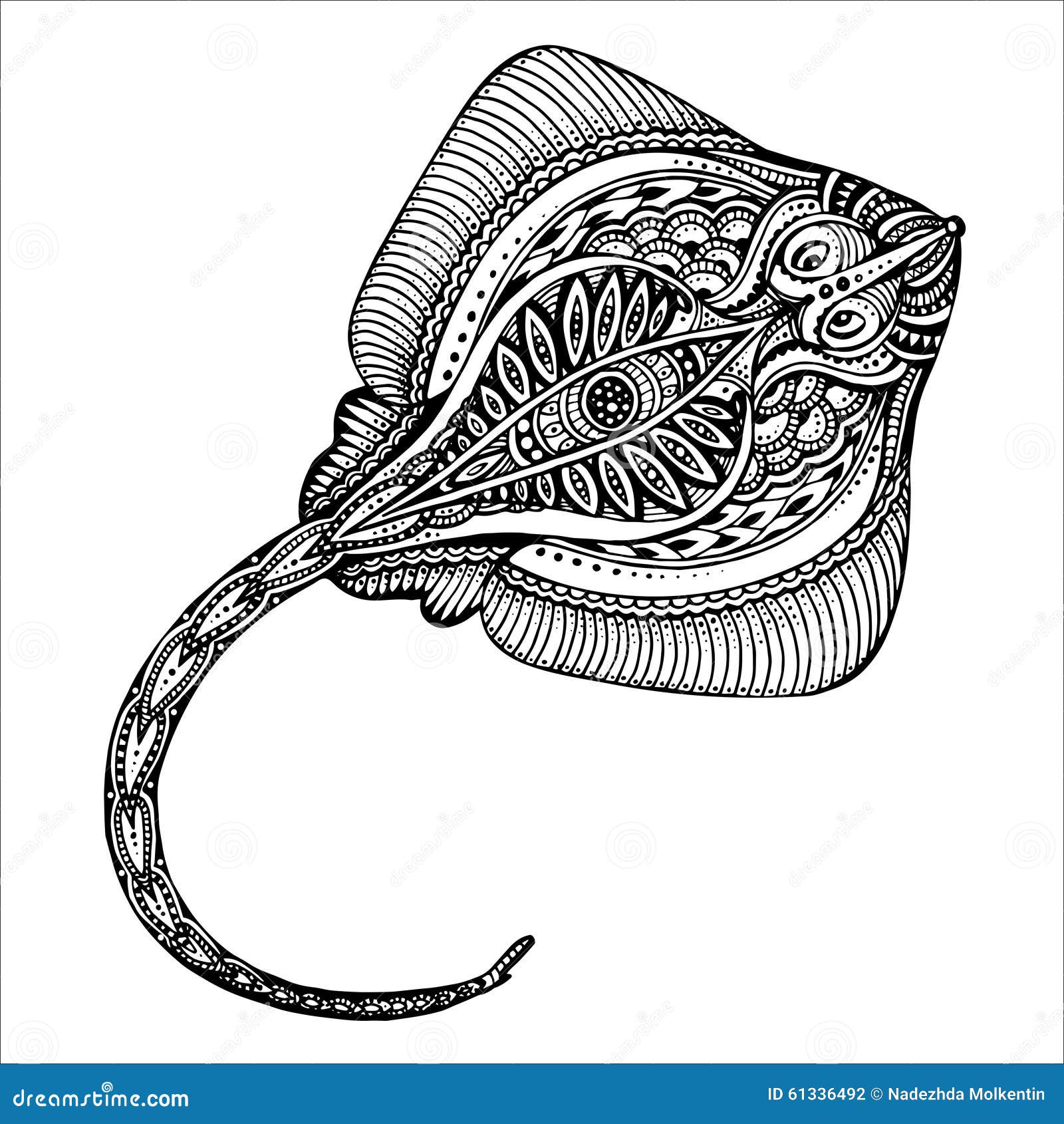 Sting ray black white stock illustrations â sting ray black white stock illustrations vectors clipart