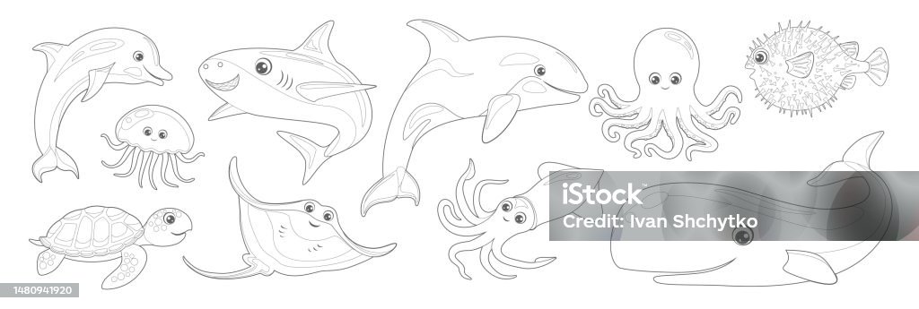 Coloring page of cartoon ocean fish and animals vector illustration of stingray hedgehog fish squid octopus killer whale jellyfish turtle dolphin shark outline coloring book for children stock illustration