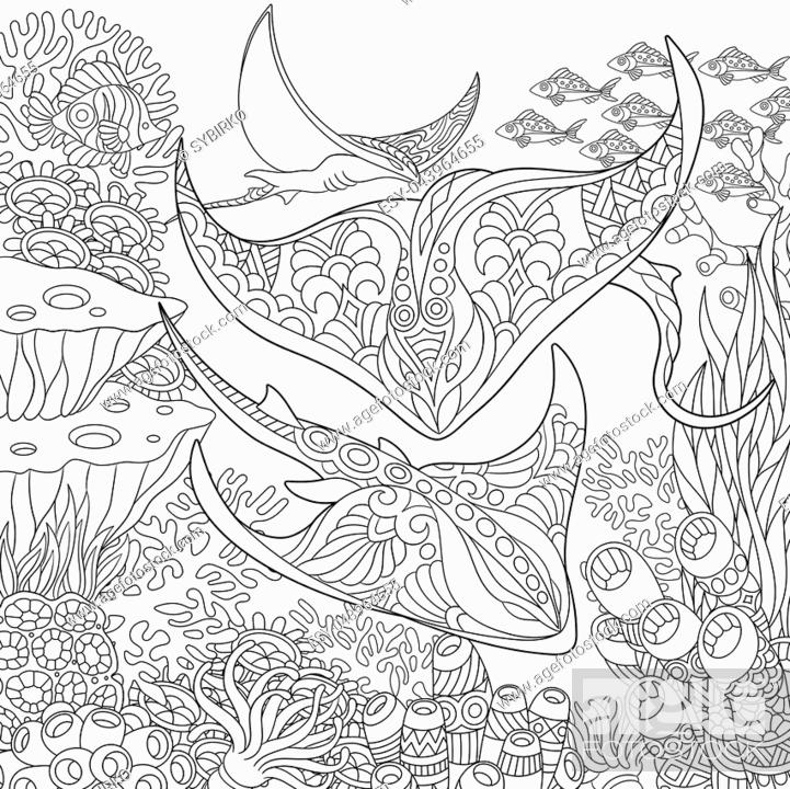 Coloring page of underwater background with stingray shoal tropical fishes and ocean plants stock vector vector and low budget royalty free image pic esy